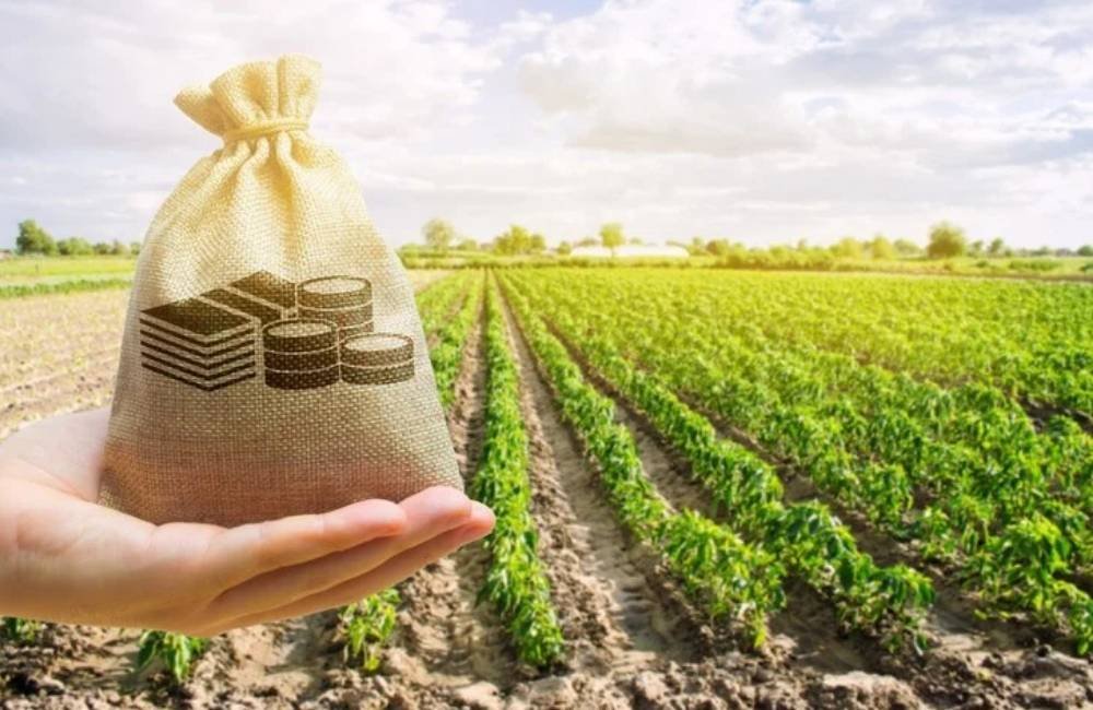 Governo abre caminho para renegociação de dívidas rurais e amplia acesso ao crédito para produtores