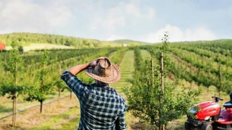 Governo avalia mudanças no Pronaf para ampliar acesso de agricultores familiares ao crédito