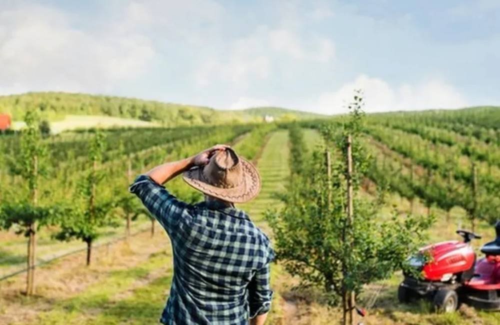 Governo avalia mudanças no Pronaf para ampliar acesso de agricultores familiares ao crédito