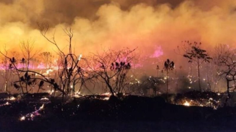 Governo de Goiás decreta emergência ambiental e proíbe uso do fogo por 120 dias