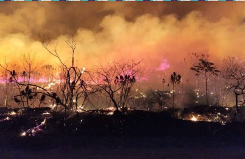 Governo de Goiás decreta emergência ambiental e proíbe uso do fogo por 120 dias