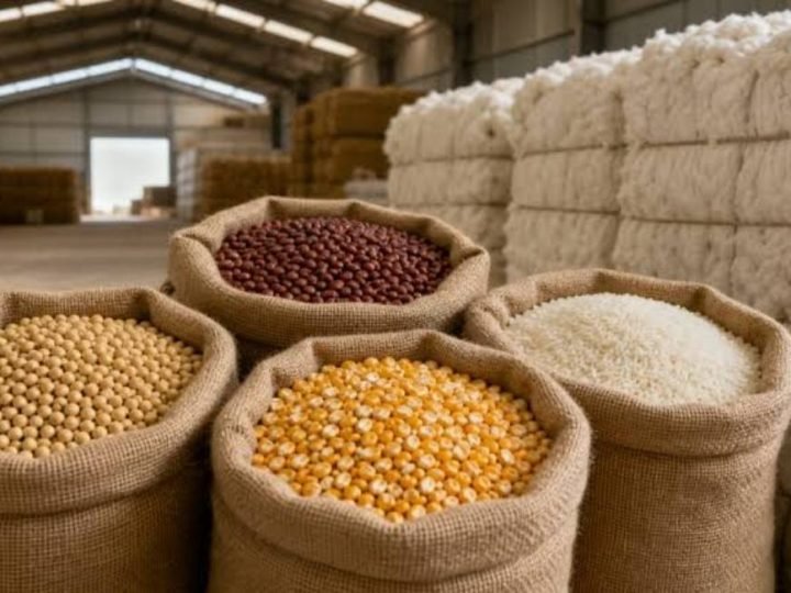 Governo define novos preços mínimos para soja, milho, arroz e outros produtos das safras 2026/27 e 2027