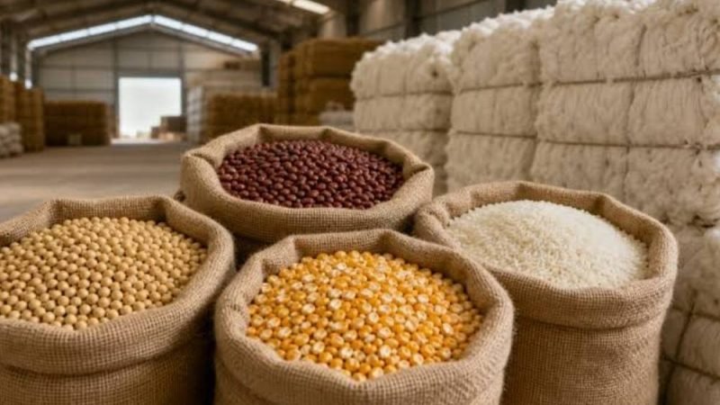 Governo define novos preços mínimos para soja, milho, arroz e outros produtos das safras 2026/27 e 2027