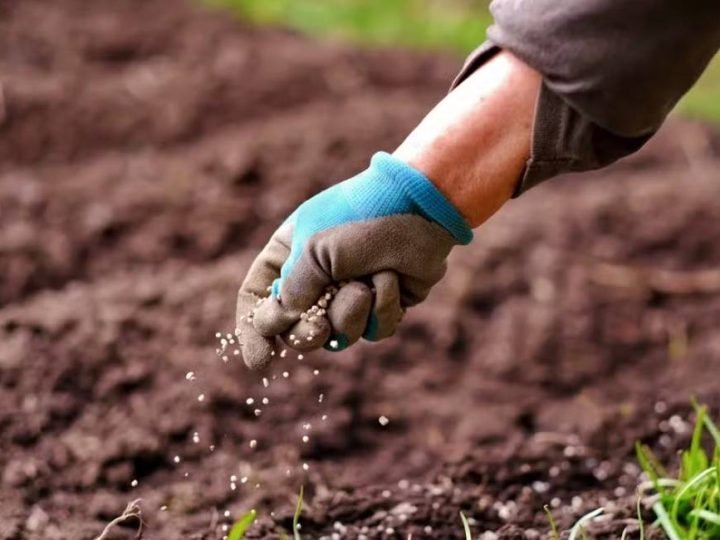 Guerra no Oriente Médio acende alerta para custos do agro brasileiro