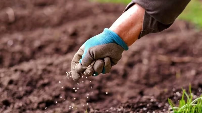 Guerra no Oriente Médio acende alerta para custos do agro brasileiro