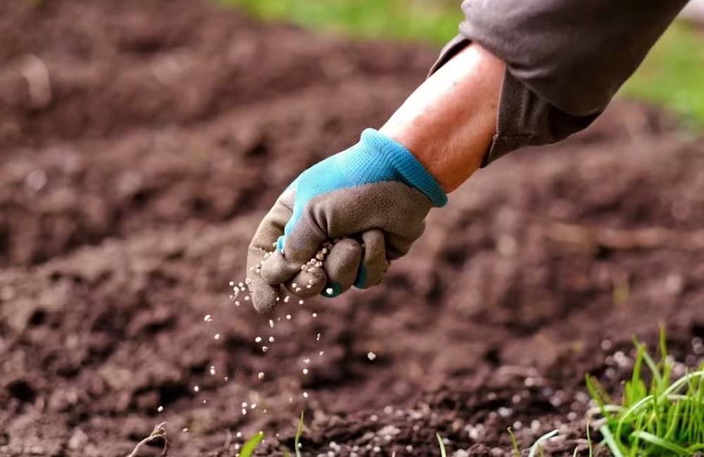 Guerra no Oriente Médio acende alerta para custos do agro brasileiro