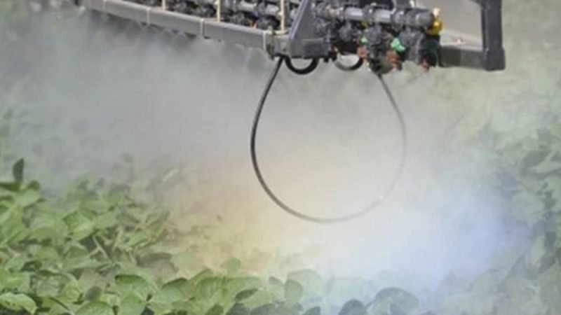 Justiça amplia restrições ao herbicida 2,4-D e decisão preocupa produtores