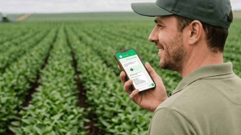 “Mandou, registrou”: nova tecnologia leva a gestão da fazenda para o WhatsApp