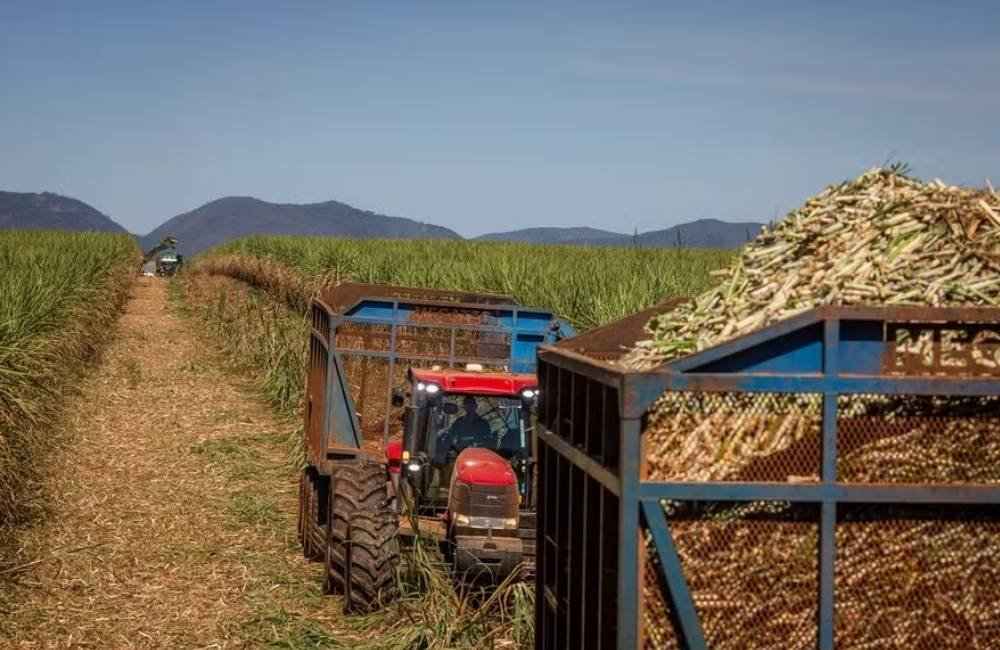 Mercado mundial de açúcar entra em alerta com déficit previsto de 1,7 milhão de toneladas