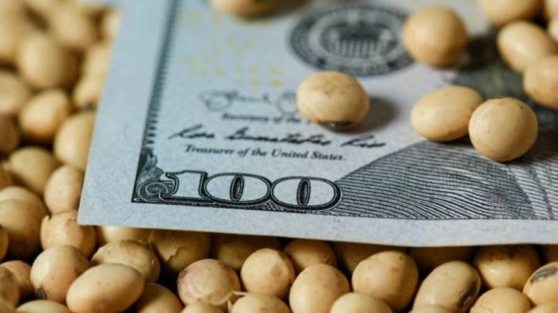 Mesmo com dólar em queda, soja sustenta R$ 124 e anima produtores de Jataí