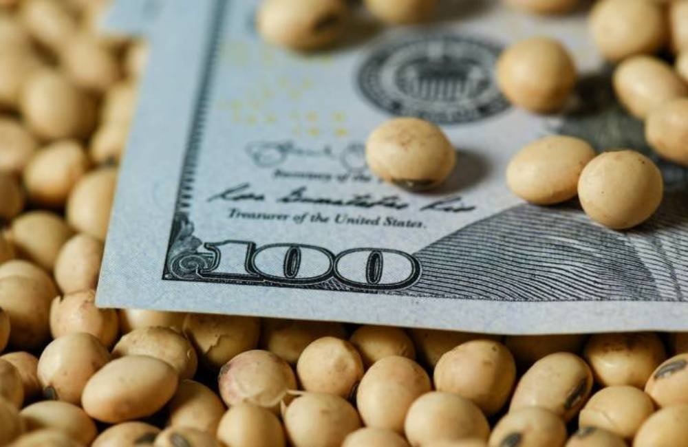 Mesmo com dólar em queda, soja sustenta R$ 124 e anima produtores de Jataí