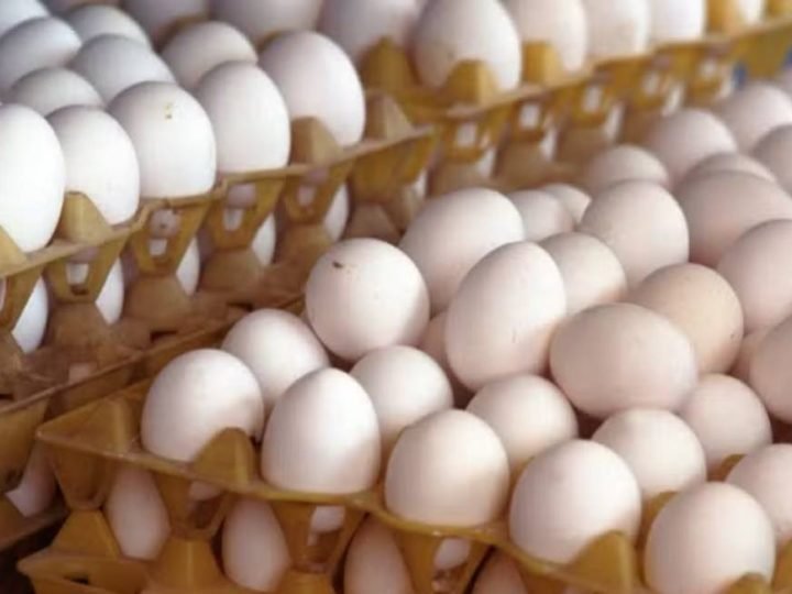 Preço dos ovos cai ao menor nível para julho em sete anos
