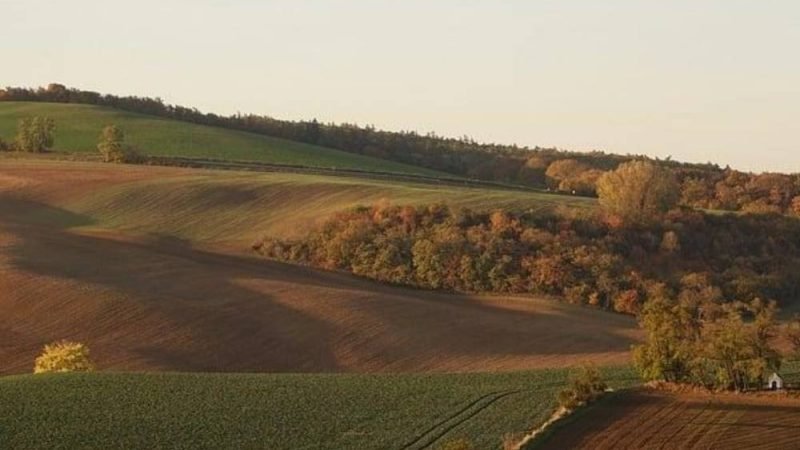 Produtores rurais devem ficar atentos: Governo inicia notificações para regularização do Cadastro Ambiental Rural
