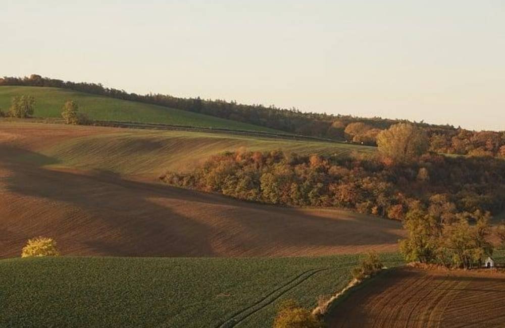Produtores rurais devem ficar atentos: Governo inicia notificações para regularização do Cadastro Ambiental Rural
