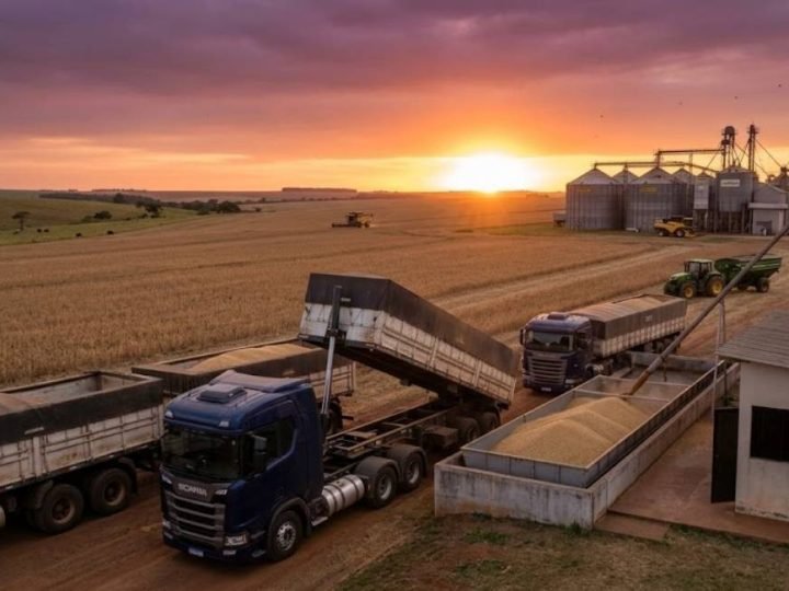 Soja abre a semana em R$ 124 por saca e mantém mercado agro em alta em Jataí