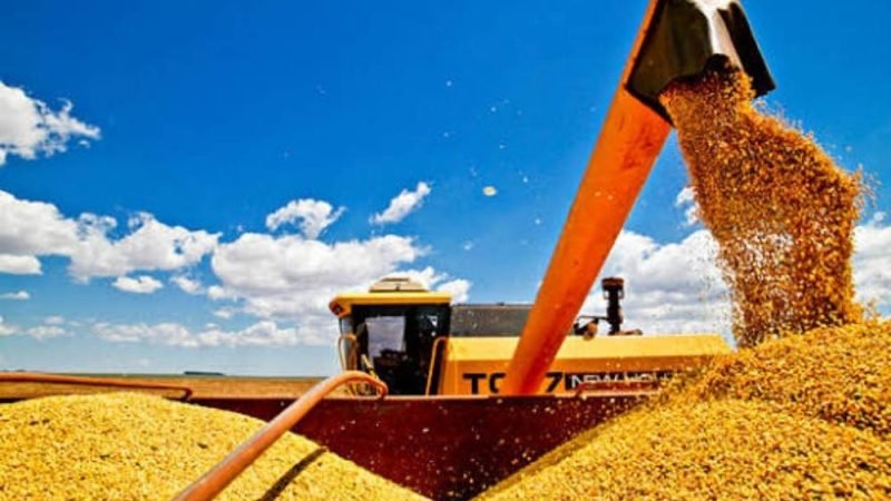 Soja dispara para R$ 123 por saca e abre a semana em forte alta no agro de Jataí