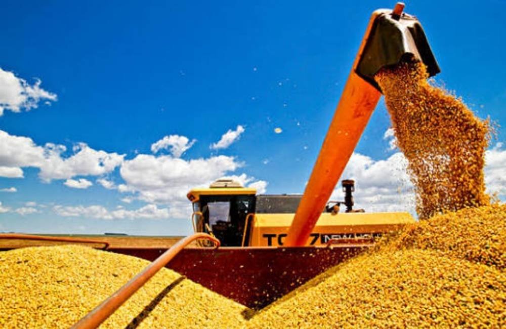 Soja dispara para R$ 123 por saca e abre a semana em forte alta no agro de Jataí
