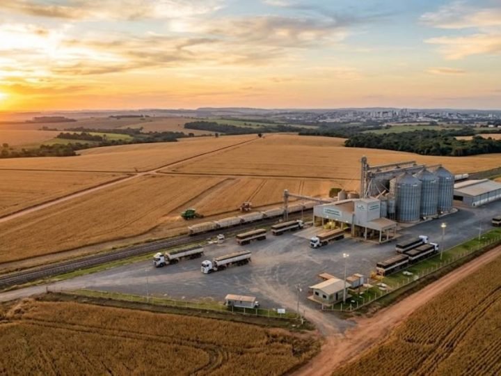 Soja dispara para R$ 127 e mercado do agro fecha a semana em alta em Jataí