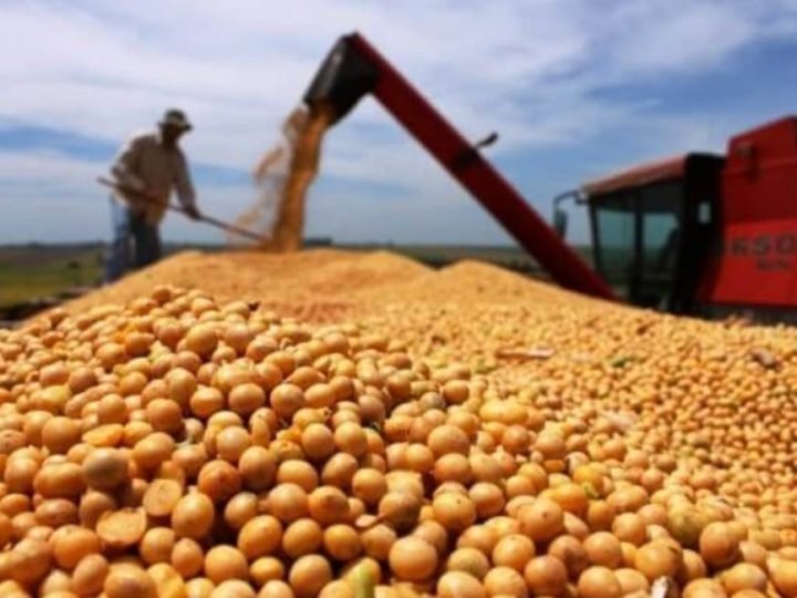 Soja rompe os R$ 120 por saca e impulsiona mercado agro em Jataí nesta quinta-feira