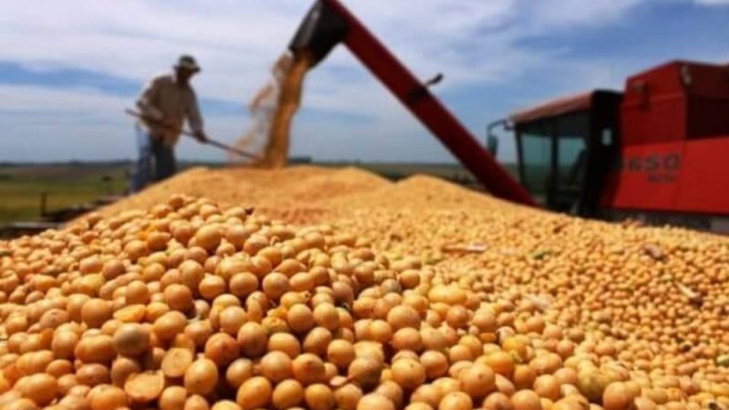 Soja rompe os R$ 120 por saca e impulsiona mercado agro em Jataí nesta quinta-feira