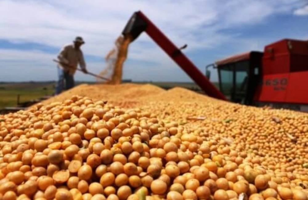 Soja rompe os R$ 120 por saca e impulsiona mercado agro em Jataí nesta quinta-feira