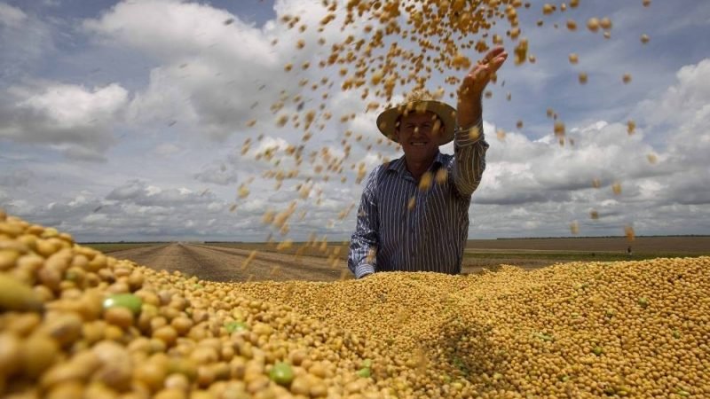 Soja segue acima de R$ 120 e mercado agro mantém preços firmes em Jataí nesta terça-feira