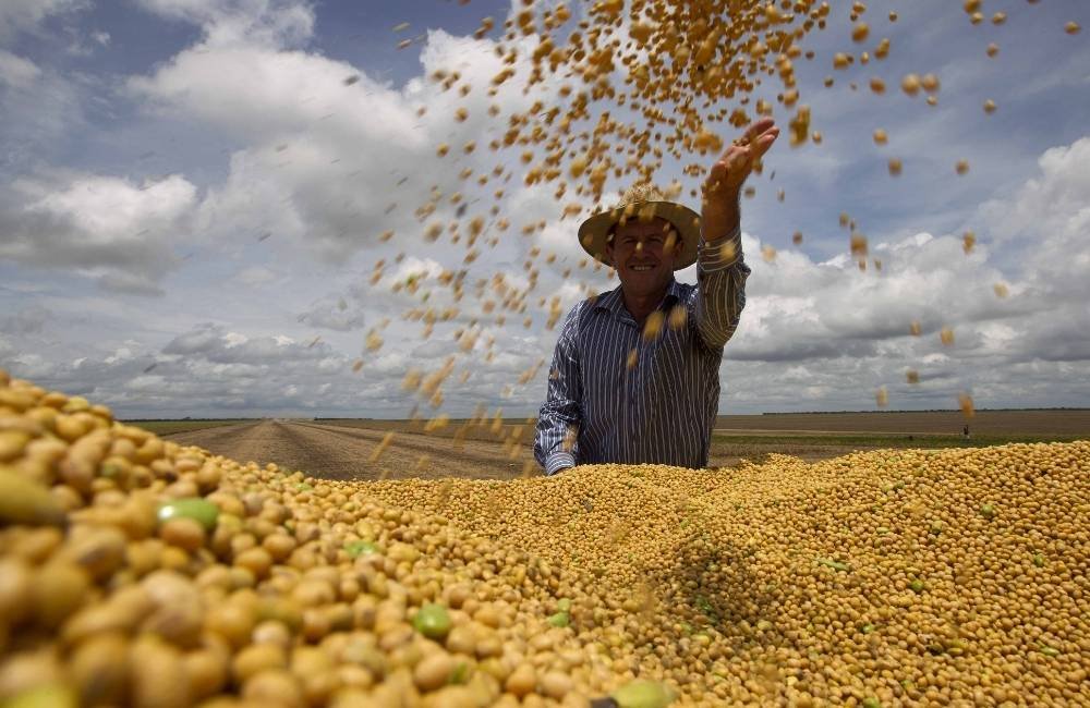 Soja segue acima de R$ 120 e mercado agro mantém preços firmes em Jataí nesta terça-feira
