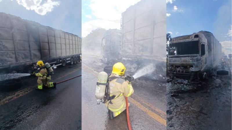 VÍDEO | Bombeiros impedem que incêndio destrua carga de 33 toneladas em caminhão na GO-184