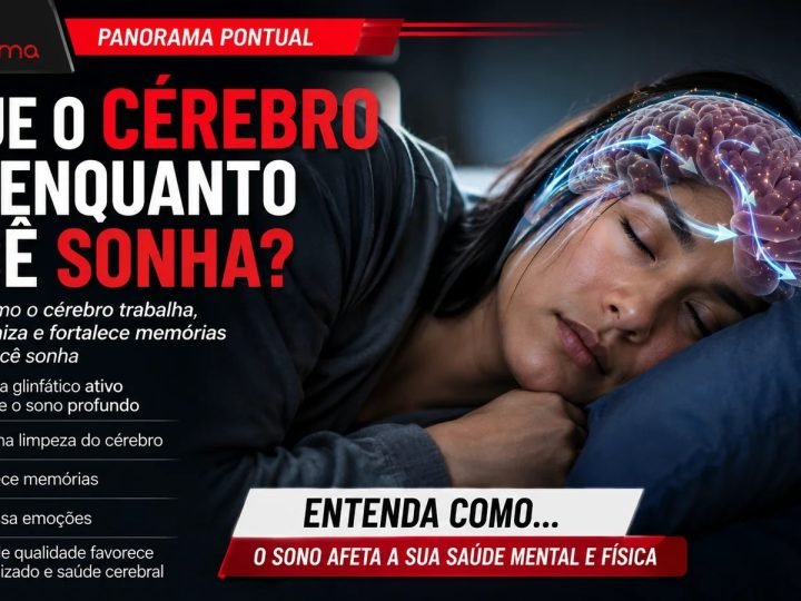 VÍDEO | O que o cérebro faz enquanto você sonha?