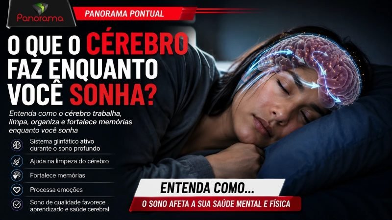 VÍDEO | O que o cérebro faz enquanto você sonha?