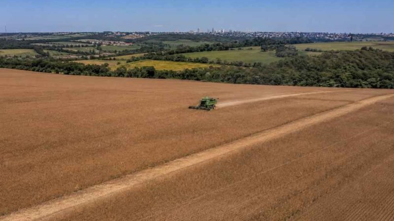 Como produzir mais sem ampliar a área plantada: gestão e tecnologia impulsionam a produtividade no campo