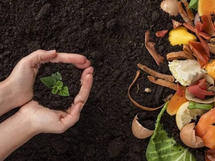 Compostagem de restos de alimentos ajuda a reduzir emissões de gases de efeito estufa