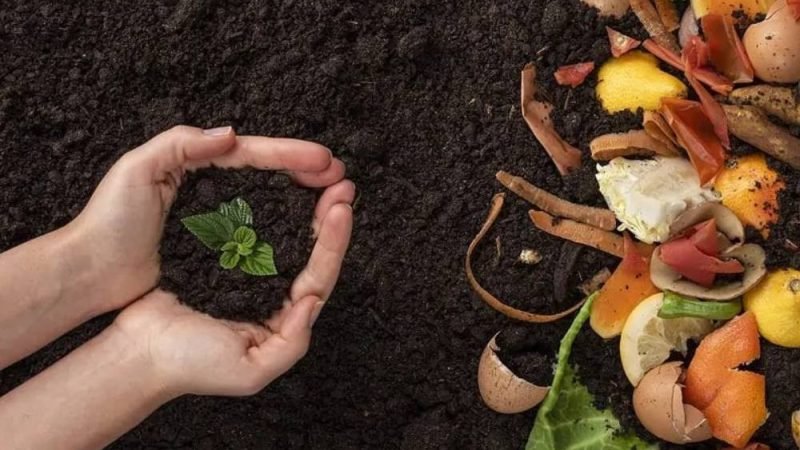 Compostagem de restos de alimentos ajuda a reduzir emissões de gases de efeito estufa