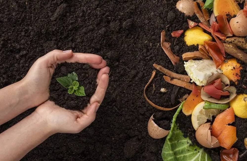 Compostagem de restos de alimentos ajuda a reduzir emissões de gases de efeito estufa