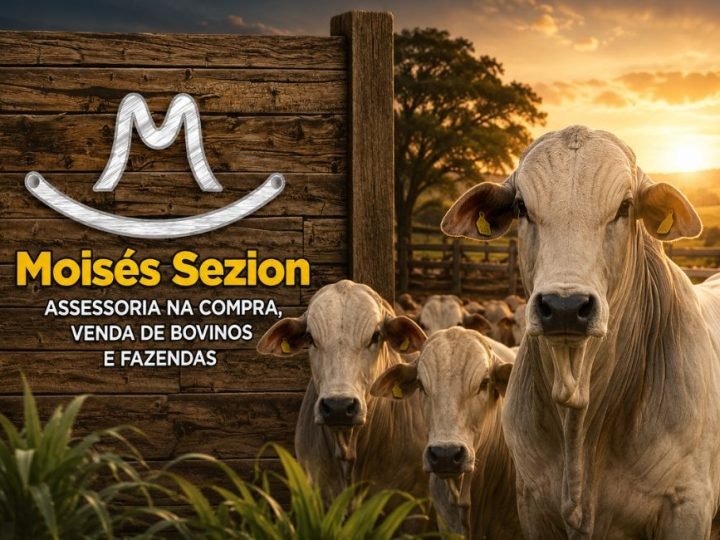 Soja mantém R$ 122 em Jataí e arroba do boi sobe para R$ 335 nesta segunda-feira (3)