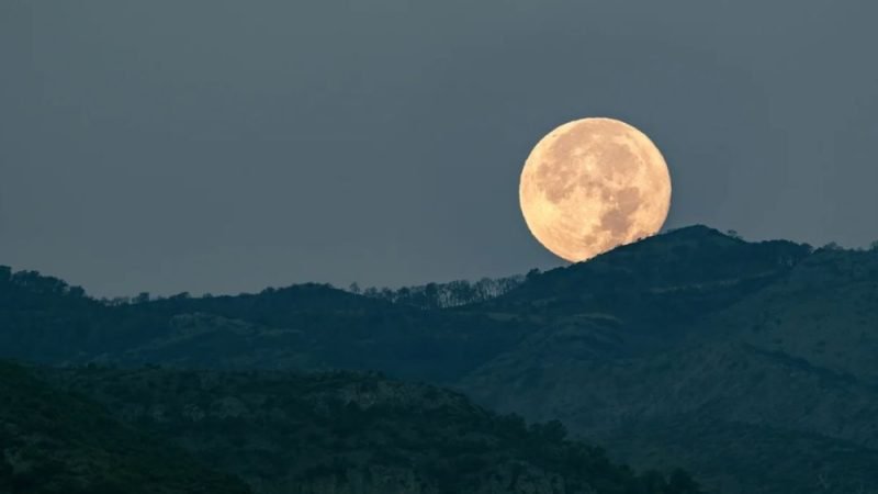 “Lua do veado” ocorre nesta quarta (29/7). Saiba o significado