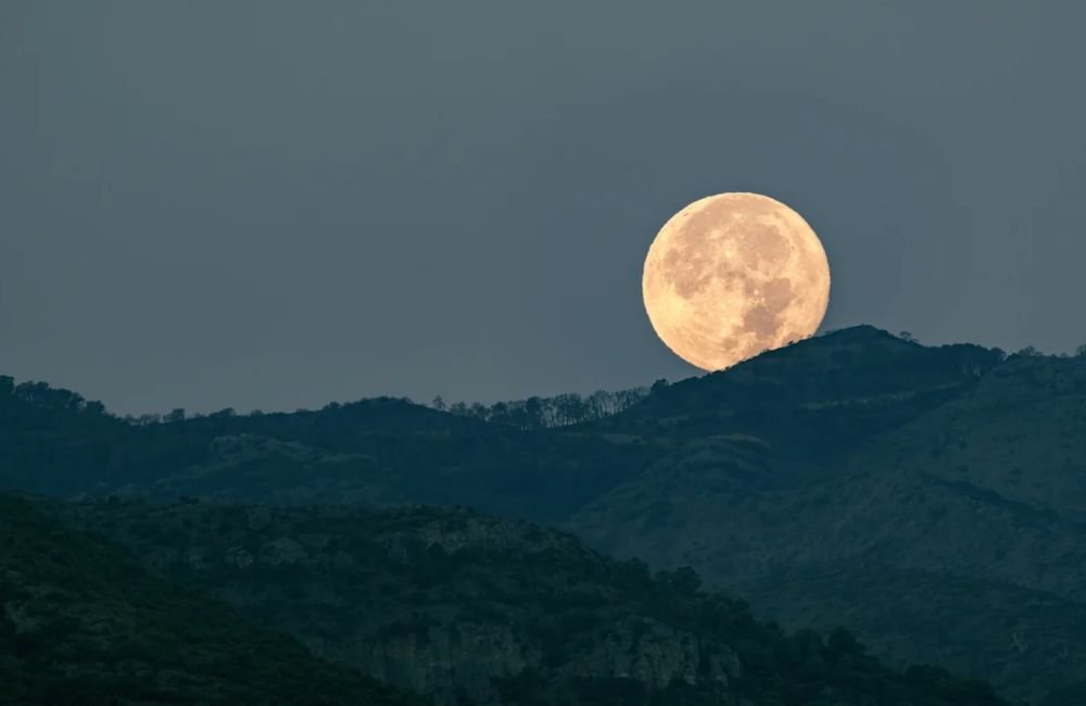 “Lua do veado” ocorre nesta quarta (29/7). Saiba o significado