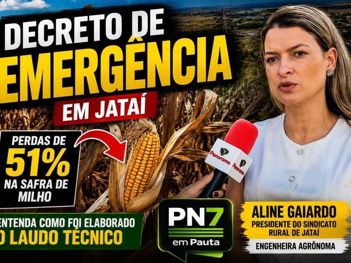 VÍDEO | Presidente do Sindicato Rural explica como foi elaborado o laudo que embasou o decreto de emergência em Jataí