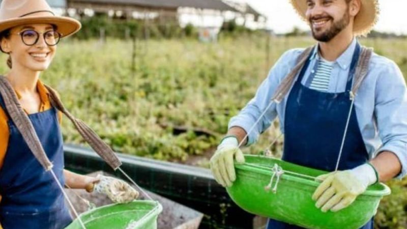 Agro de Goiás gera mais de 8 mil empregos formais no primeiro semestre de 2026