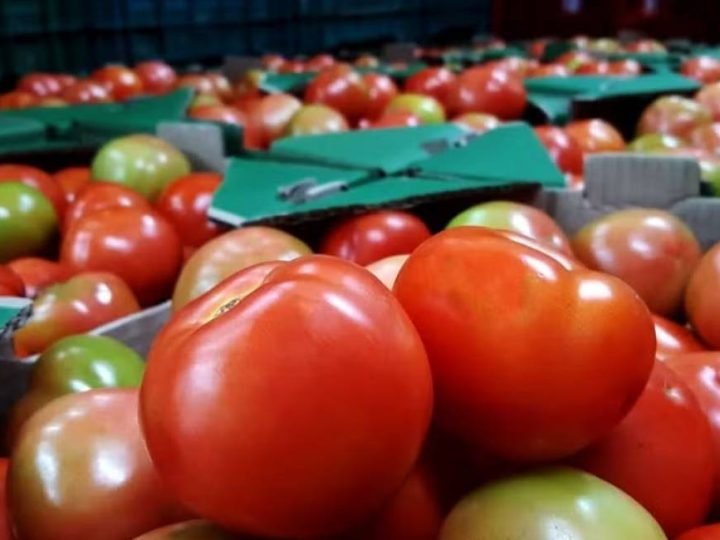 Alimentos ficam mais baratos e puxam inflação para baixo em julho