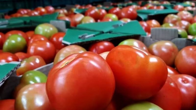 Alimentos ficam mais baratos e puxam inflação para baixo em julho