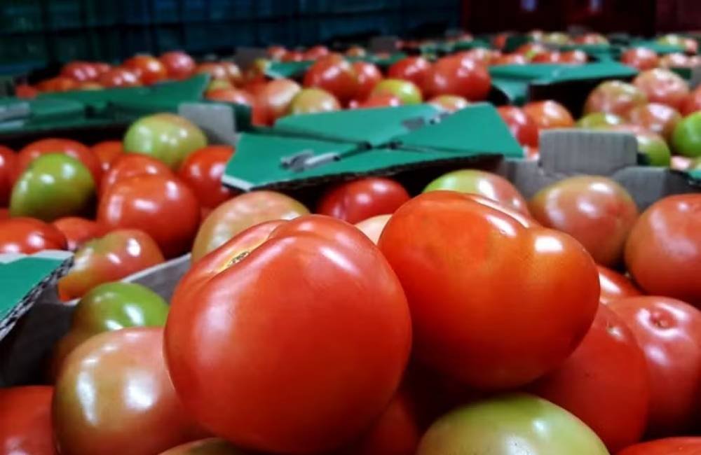 Alimentos ficam mais baratos e puxam inflação para baixo em julho