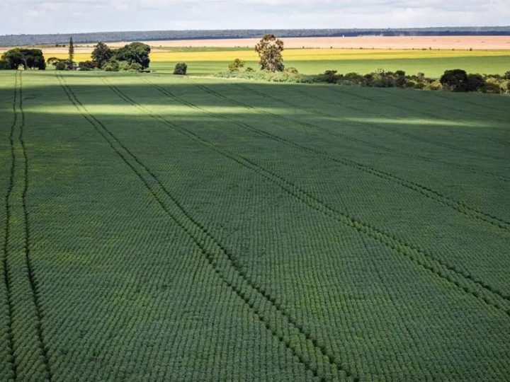 Brasil avança para produzir mais fertilizantes e reduzir dependência externa