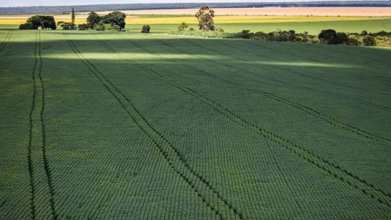 Brasil avança para produzir mais fertilizantes e reduzir dependência externa