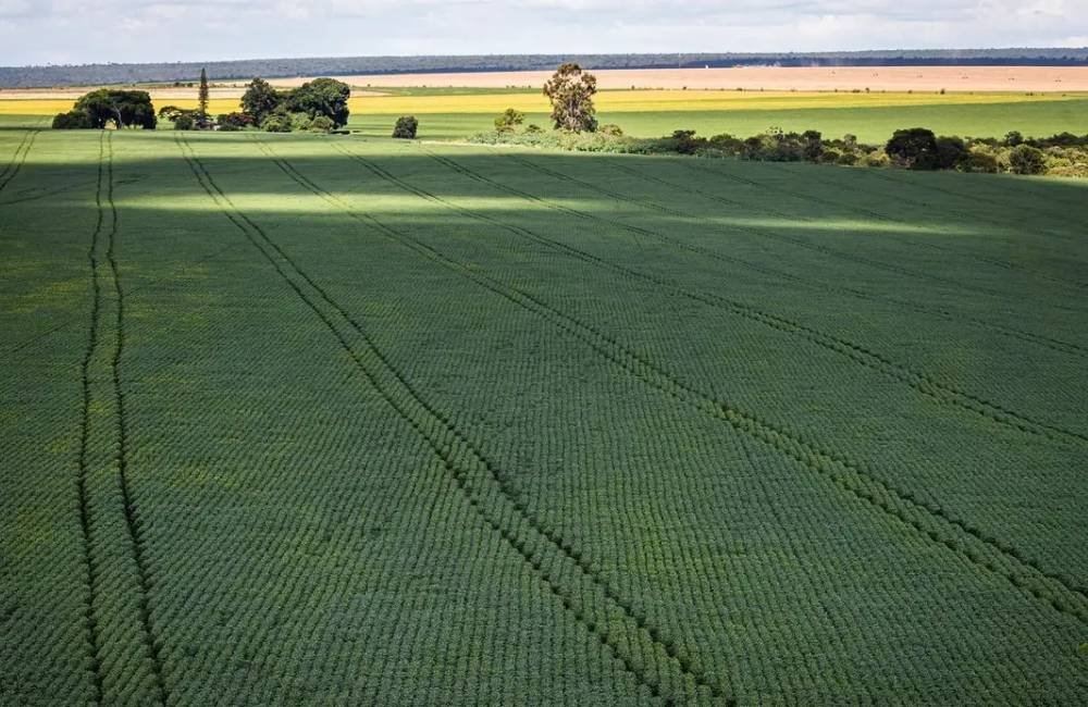 Brasil avança para produzir mais fertilizantes e reduzir dependência externa