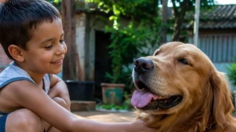 Cães mais dóceis para crianças: veja raças que se destacam