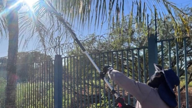 Calor extremo deixa Goiás com clima de deserto; entenda o fenômeno