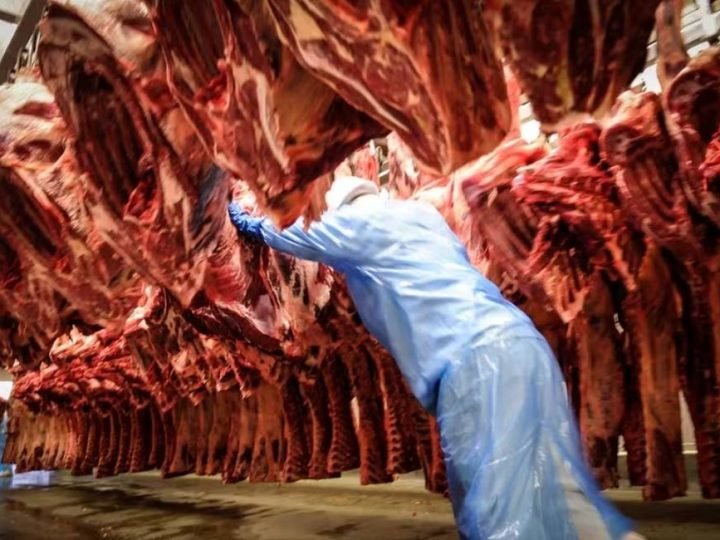 Carne brasileira enfrenta novo desafio no mercado internacional com redução da demanda chinesa e restrições da União Europeia