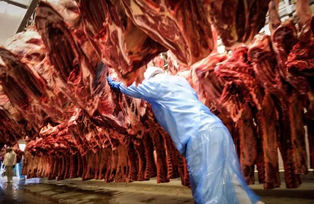 Carne brasileira enfrenta novo desafio no mercado internacional com redução da demanda chinesa e restrições da União Europeia