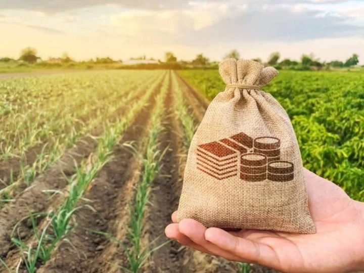 Crédito rural perde força e acende alerta no campo com alta da inadimplência